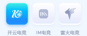 开云·电竞(中国)官方网站